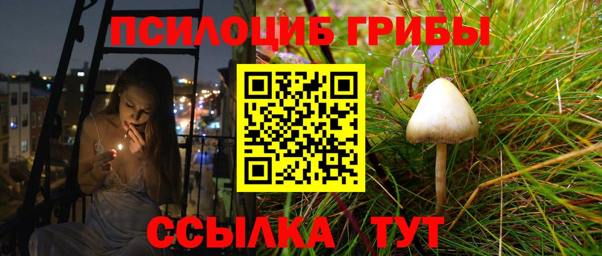 Камень-на-Оби  Псилоцибиновые грибы мицелий  Вход с VPN 