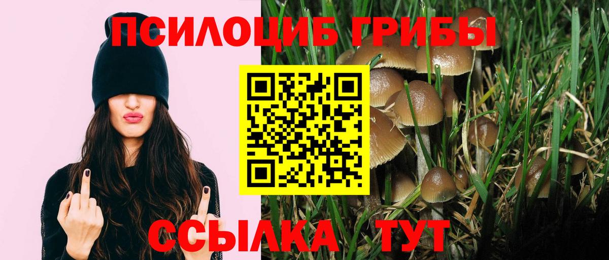 Псилоцибиновые грибы MAGIC MUSHROOMS Камень-на-Оби